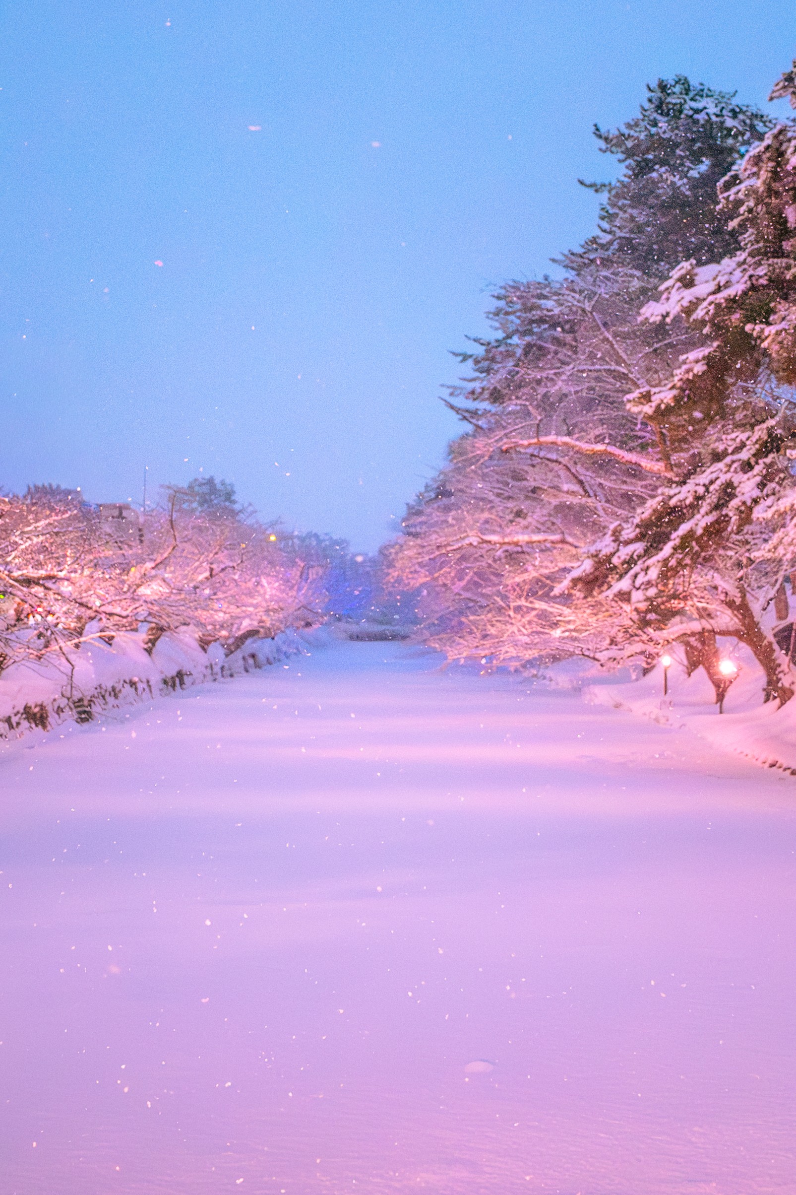 Close up of married couple's hands giving knuckles.